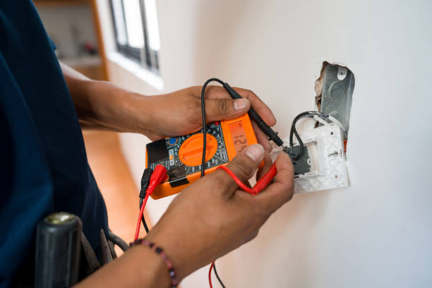 Best Electric Panel Repair  in Village Of Waukesha, WI